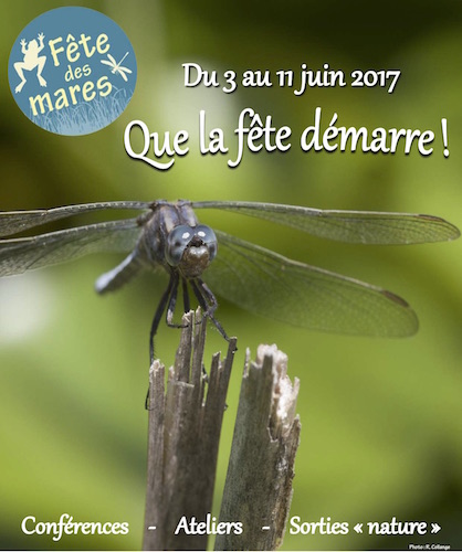 La Fête des mares, partout en France