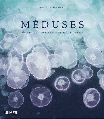 Les méduses, ces beautés gélatineuses
