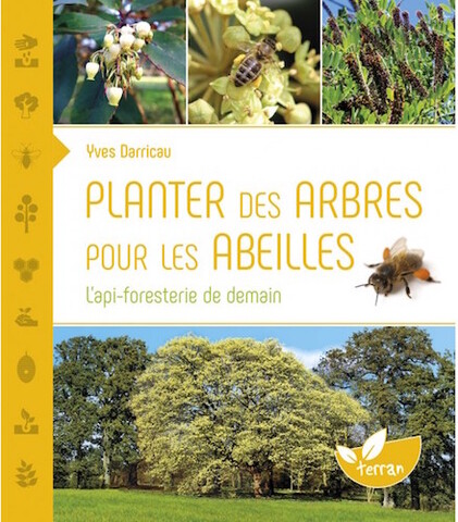 Agir face au changement climatique en plantant des arbres