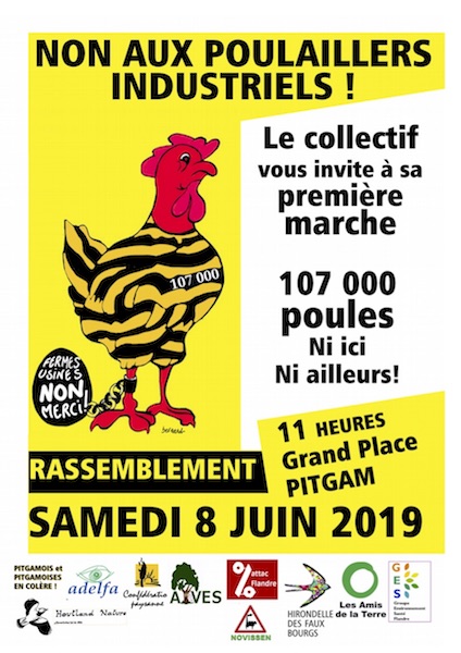 Contre le poulailler industriel de 107.000 poules, marche à Pitgam (Nord)