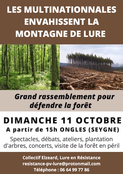 Rassemblement pour défendre la forêt de la montagne de Lure, à Ongles (Alpes-de-Haute-Provence)