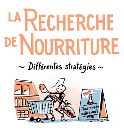 Les fourmis, un appétit vorace<small class="fine d-inline"> </small>!