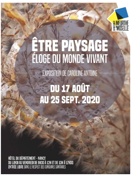 Exposition Être paysage - Éloge du monde vivant, à Nancy (Meurthe-et-Moselle)