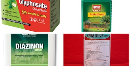 Le glyphosate reconnu comme «<small class="fine d-inline"> </small>probablement cancérigène<small class="fine d-inline"> </small>» par l'<span class="caps">OMS</span>