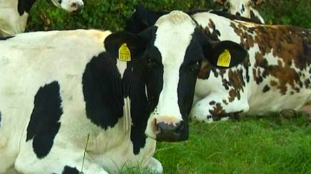 En Normandie, le lycée agricole de Coutances passe au bio