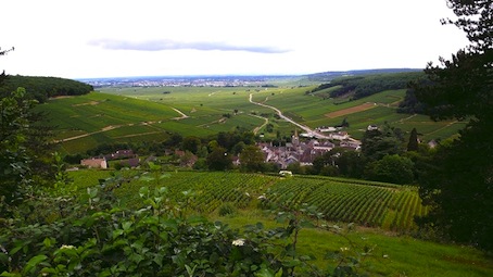 La chronique de Reporterre sur Radio Nova - Le changement climatique menace les crus de Bourgogne