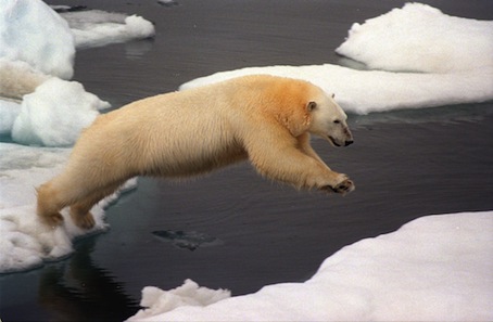 La pression pétrolière s'accroit sur l'Arctique, fragilisé par le changement climatique