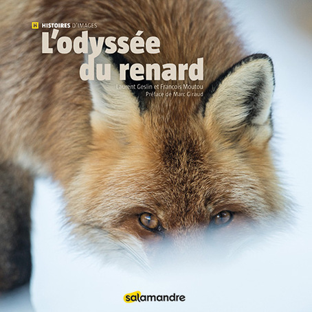 Un beau récit en images et en mots sur le voyage d'un renard