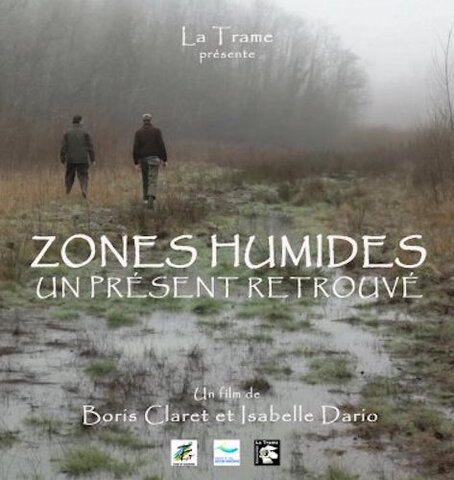 La zone humide, maillon discret mais essentiel des cycles de l'eau et du vivant