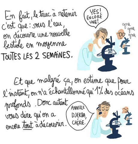 Comment parler d'écologie… et convaincre