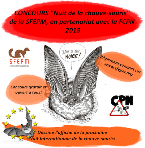 Un grand concours de dessin pour aider la chauve-souris