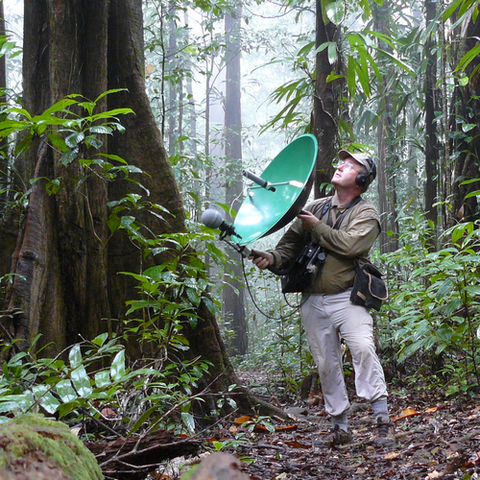 Radio Bambou : la forêt chante, la tempête mugit, la ressourcerie s'amuse
