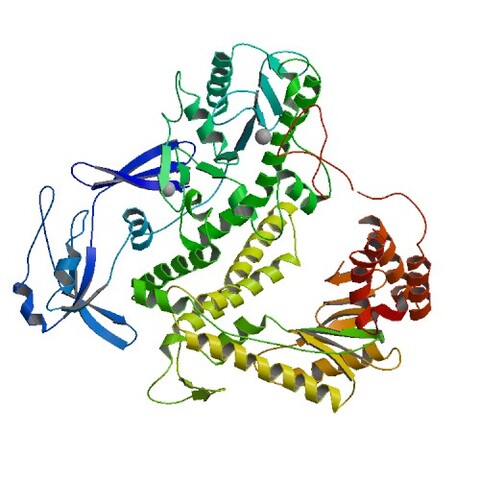 Les «<small class="fine d-inline"> </small>nouveaux <span class="caps">OGM</span><small class="fine d-inline"> </small>» doivent respecter la législation sur les <span class="caps">OGM</span>