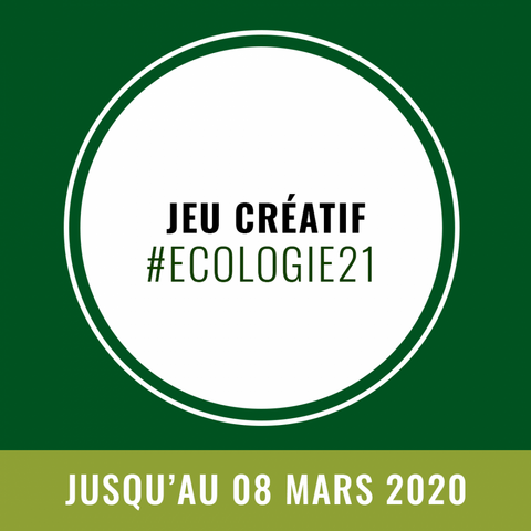 Participez au jeu créatif «<small class="fine d-inline"> </small>L'écologie du <span class="caps">XXI</span><sup class="typo_exposants">e</sup> siècle<small class="fine d-inline"> </small>»<small class="fine d-inline"> </small>!