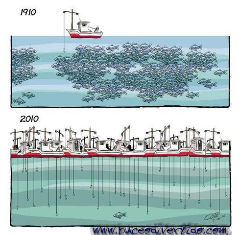 De l'huile de foie de requins menacés dans les cosmétiques à l'insu des consommateurs‏