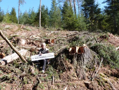 Mobilisation pour sauver la forêt publique française