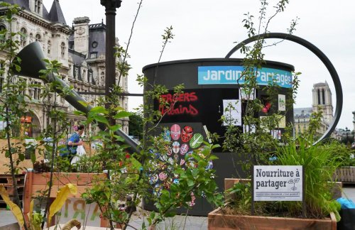 L'agriculture urbaine‏ est en plein essor