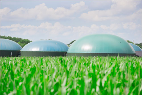 L'industrie chimique bascule vers la bio-économie
