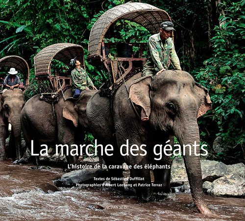 Marcher pour sauver les éléphants du Laos 