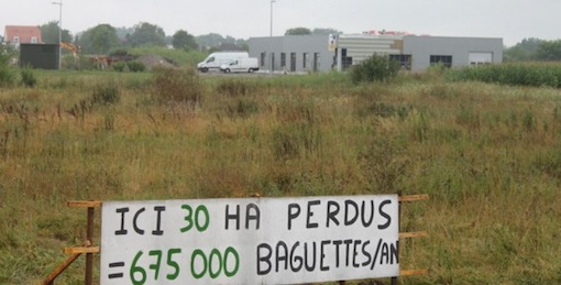 Une disposition de la loi Duflot favorise le gaspillage des terres