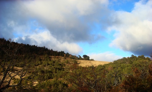 Appel pour une zone blanche en Ardèche‏