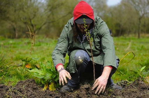 Ce que nous voulons à Notre-Dame-des-Landes et partout