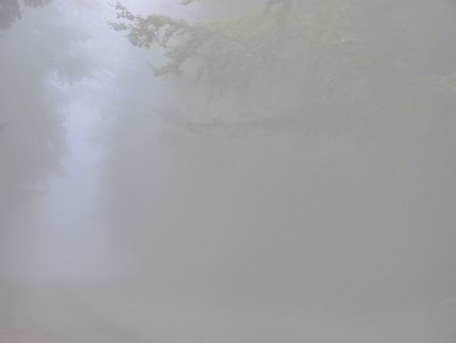 Notre Dame des Landes : bon sang, on a oublié le brouillard<small class="fine d-inline"> </small>!