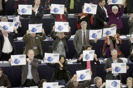 Pêche : Une étude économique montre qu'il n'est pas avantageux d'investir dans le renouvellement de la flotte