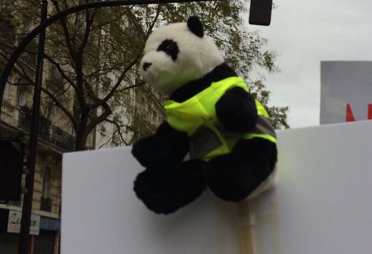 Reporterre sur Radio Suisse : Gilets jaunes et écologistes, le pont est posé