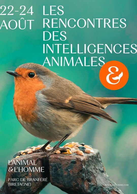 «<small class="fine d-inline"> </small>Les Rencontres des intelligences animales<small class="fine d-inline"> </small>», à Branféré (Bretagne)
