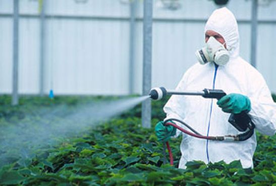 Le gouvernement plie devant le lobby des pesticides. Faisons-lui entendre raison<small class="fine d-inline"> </small>!