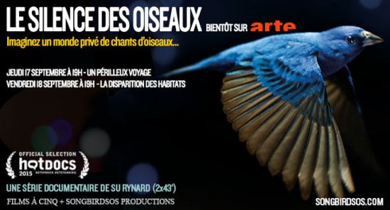 «<small class="fine d-inline"> </small>Le silence des oiseaux<small class="fine d-inline"> </small>» ce soir sur Arte
