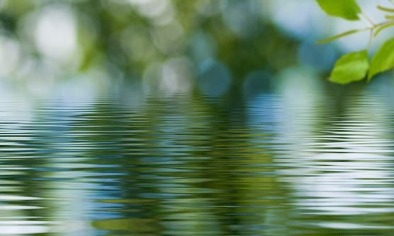  La sobriété pour éviter la pénurie : prendre soin de l'eau, discussion à Paris