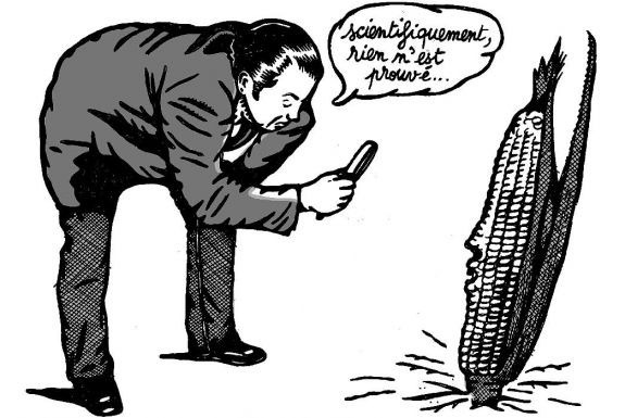 Les études de sécurité sur le maïs <span class="caps">OGM</span> 1507 ont été menées par des chercheurs inféodés à l'industrie