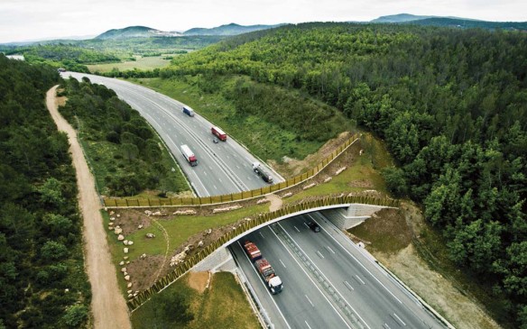 Des innovations pour protéger la faune des impacts des autoroutes