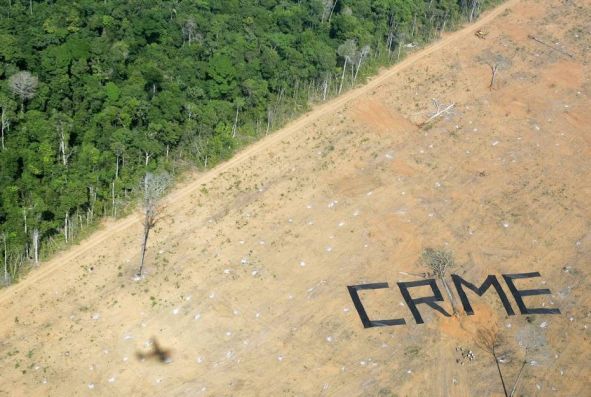 Ils défendaient la forêt, ils ont été assassinés. A Lima, leurs femmes témoignent