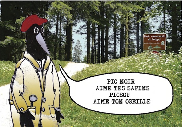 Dans le Jura et la Saône-et-Loire, Center Parcs soulève la contestation