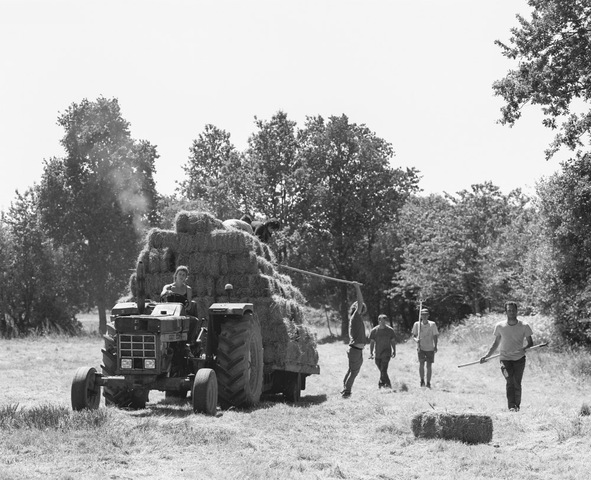 Le terreau fertile où s'enracine la lutte de Notre-Dame-des-Landes