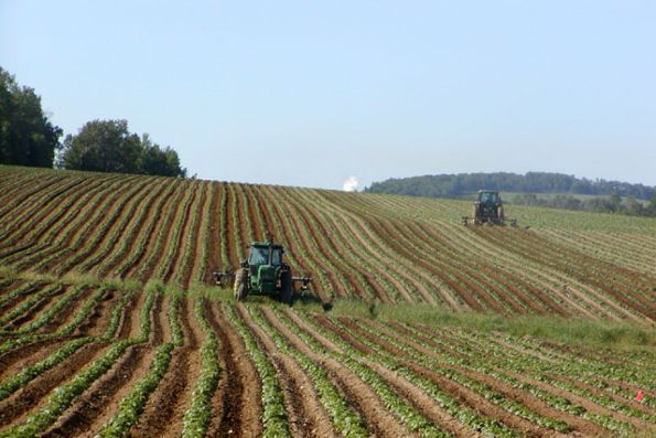 L'Europe à l'assaut des terres agricoles mondiales - et d'Ukraine
