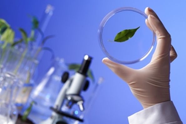 Quand la biologie de synthèse piège la lessive écolo Ecover
