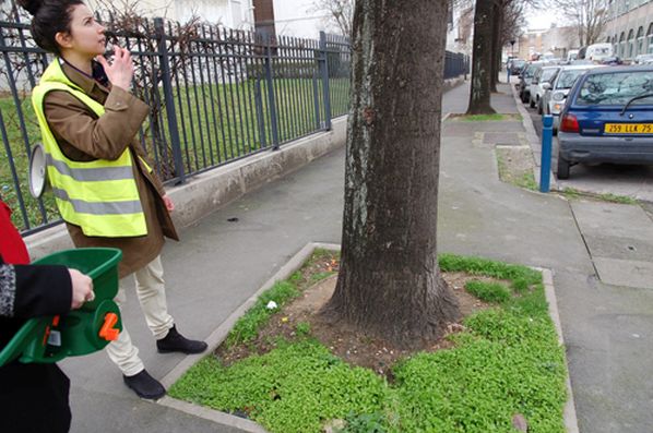En ville, redécouvrir les arbres qu'on ne voit plus