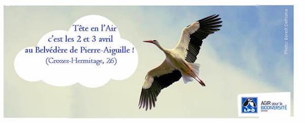 Tête en l'Air en Drôme-Ardèche, rendez-vous avec les oiseaux migrateurs