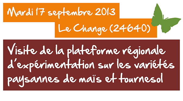 Visite de la plateforme d'expérimentations paysannes sur le maïs et le tournesol