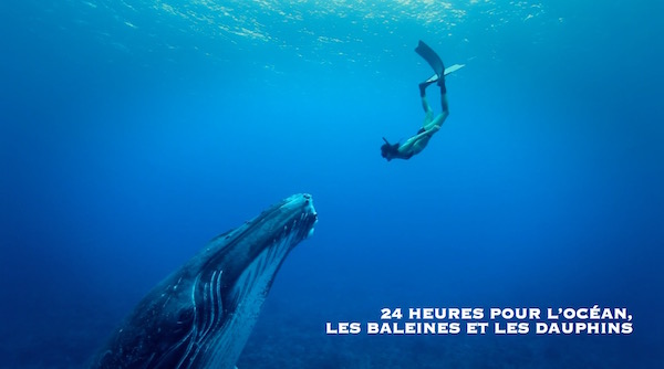 24 heures pour les océans, les baleines, les dauphins, à Paris