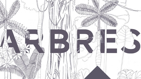 Exposition Arbres au Muséum d'histoire naturelle de Rouen (Seine-Maritime)