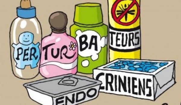 Le gouvernement français lâche à Bruxelles sur les perturbateurs endocriniens