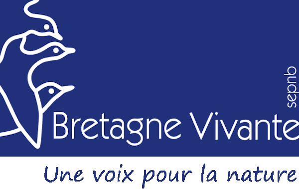 Rassemblement de soutien à la protection de la Petite Mer de Gâvres, à Plouhinec (Morbihan)