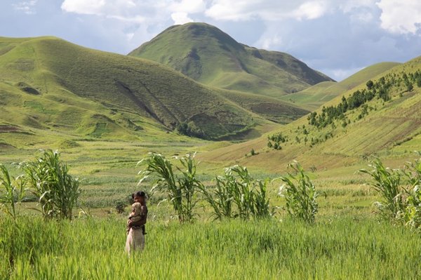 L'agro-écologie transformée en cheval de Troie de l'industrie