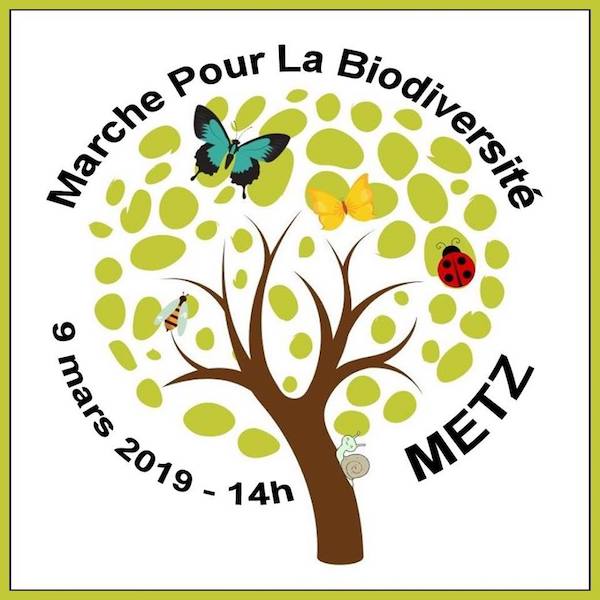 Marche pour la biodiversité, à Metz (Moselle)