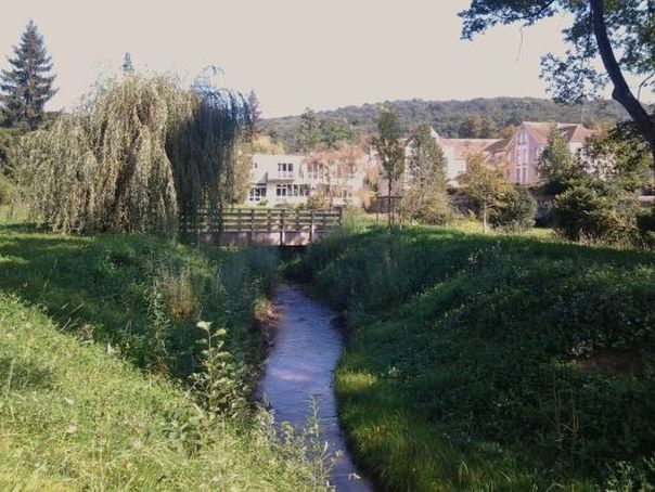 Au Testet, on peut restaurer la zone humide. Comme à Gif, où la rivière reprend son cours 